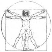 Leonardo's vitruvian man
