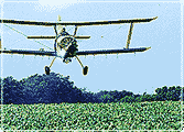 A small biplane flies low over a field to spray crops