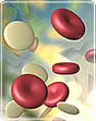 Bloods cells